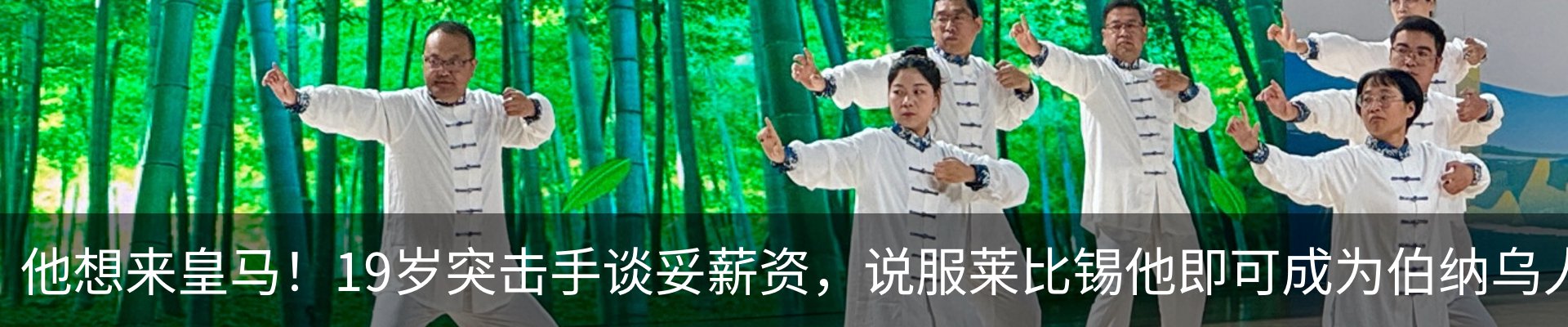 新闻动态