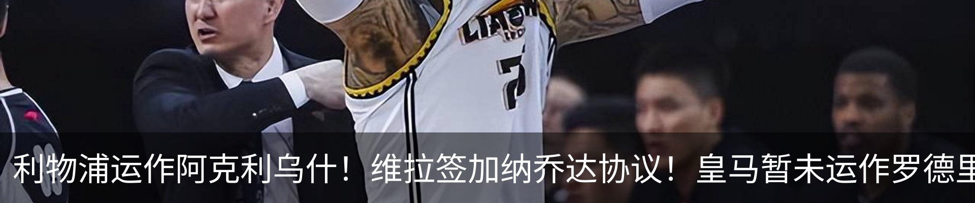 新闻动态