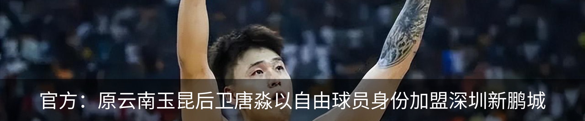 新闻动态