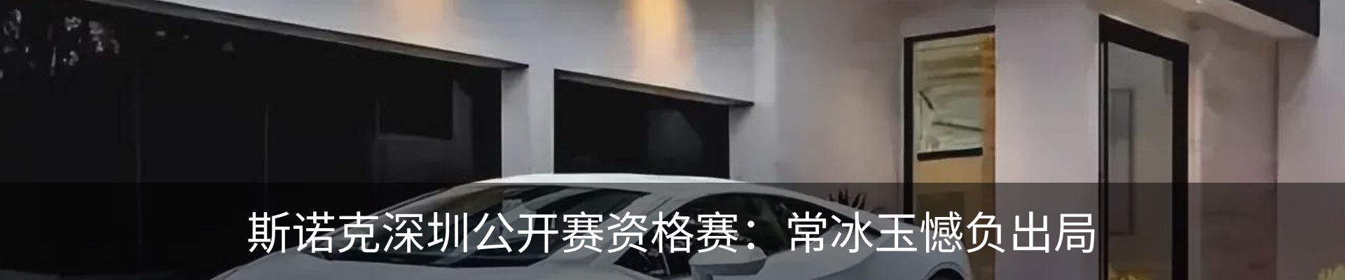 新闻动态