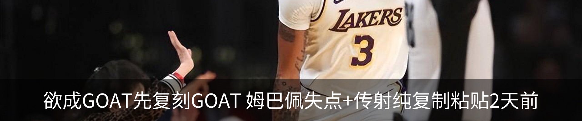 新闻动态