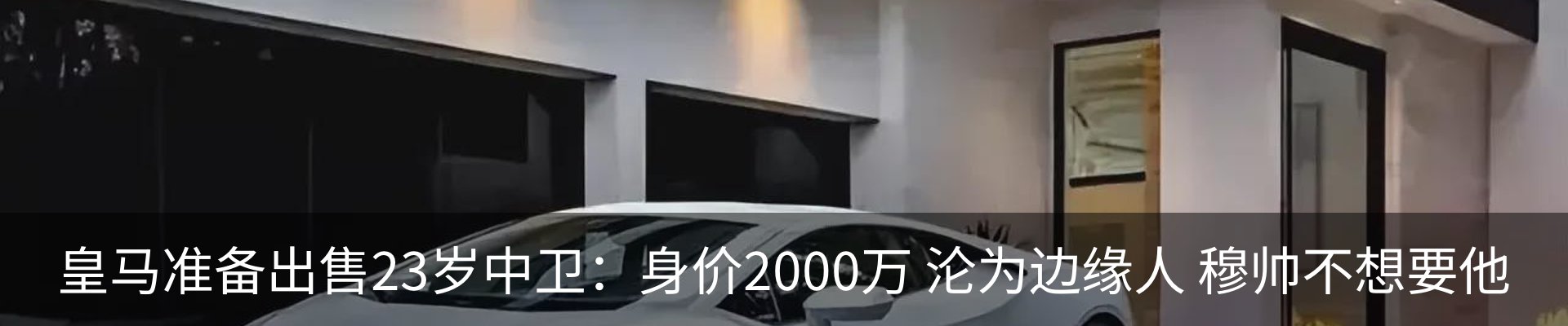 新闻动态