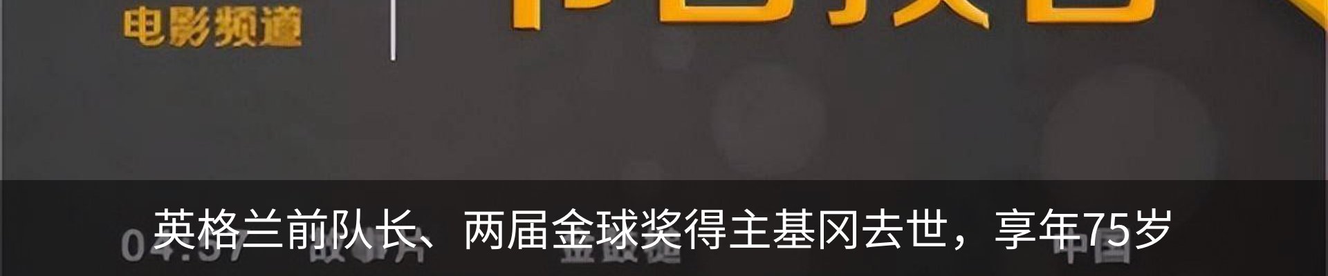 新闻动态