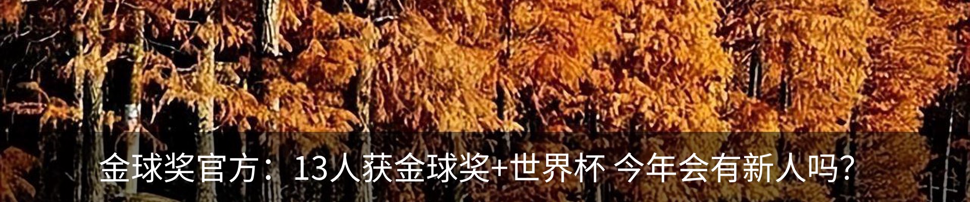 新闻动态