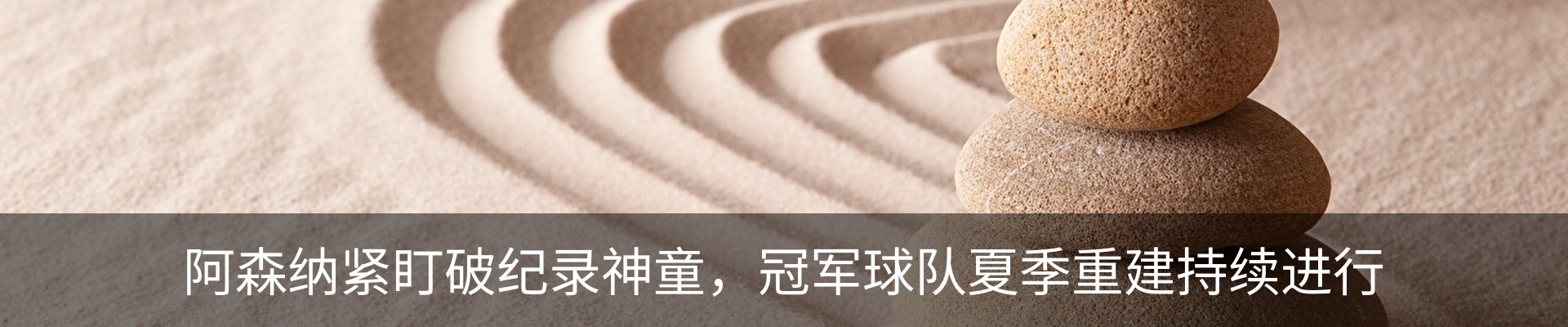 新闻动态