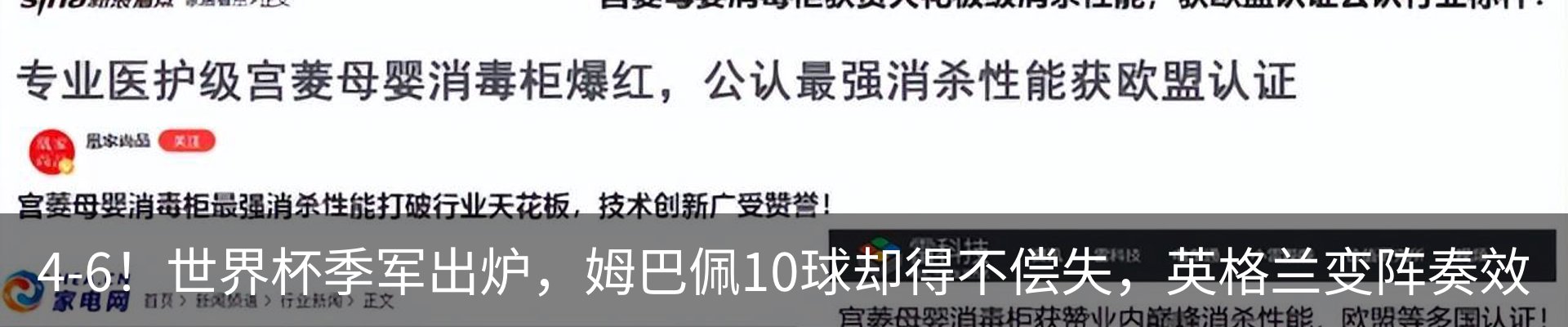 新闻动态